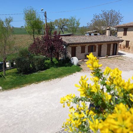 Agriturismo Il Borghetto Villa Montefalco Exterior photo