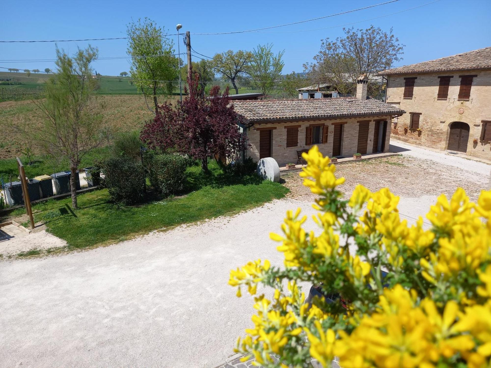 Agriturismo Il Borghetto Villa Montefalco Exterior photo